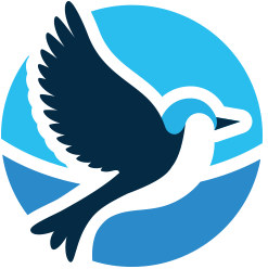 Blue Balance Logo